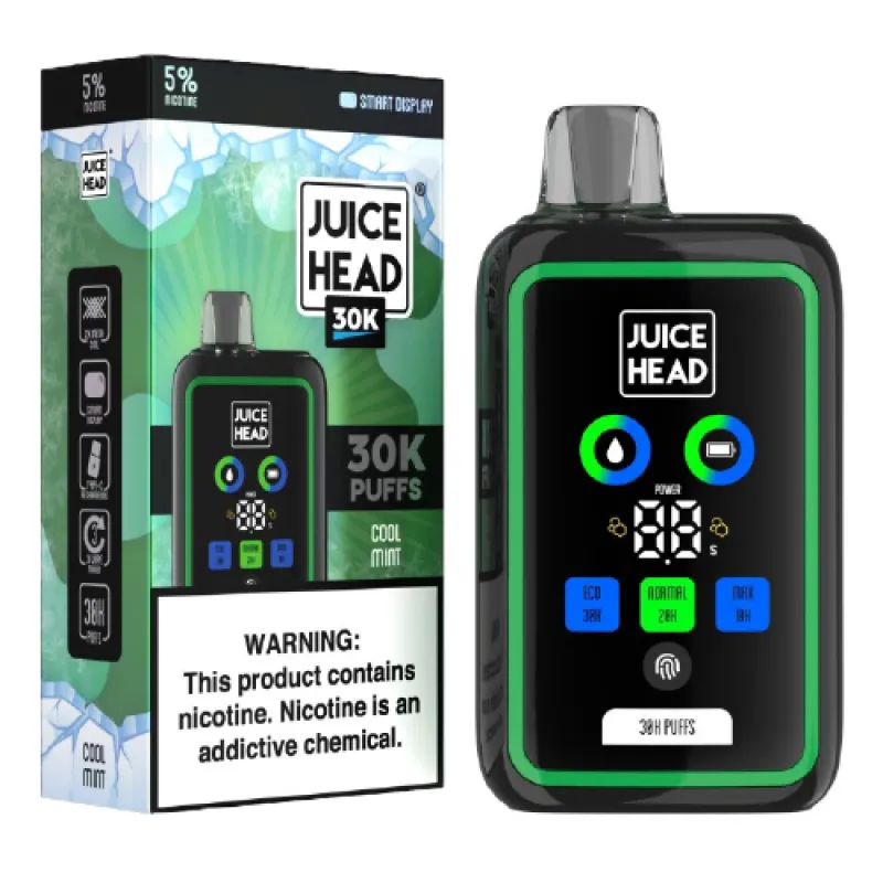 Cool Mint by Juice Head 30000puffs